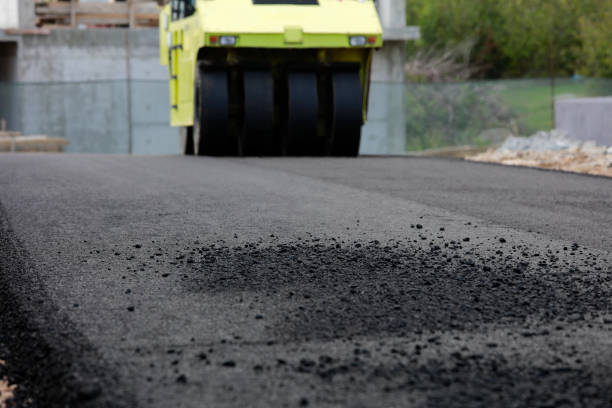 Best Driveway Paving Near Me  in Towaoc, CO